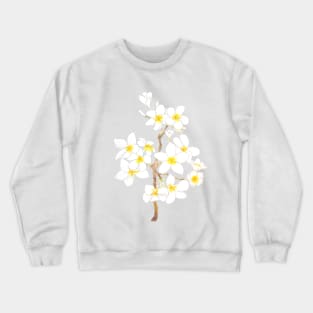 white Plumeria  frangipani flowers  ink and watercolor Crewneck Sweatshirt